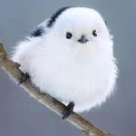 Sharon Zhang - @lapaix6855 - Instagram
