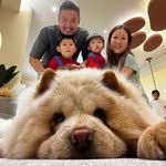 Sharon Zhang - @sharz2403 - Instagram