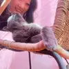 Sharon Zhang - @sharingtea - TikTok
