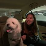 sharon zhang - @sharonzhang7 - Instagram