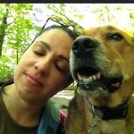 Sharon Zuckerman Modan - @zuckergirl - Instagram