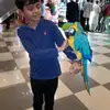 Sharoon Akhtar - @sharoonakhtar - TikTok