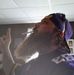 Shane Dunaway - Facebook