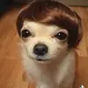 sharri_danielle - @sharridavis6 - TikTok