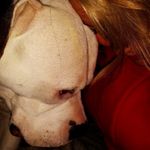 Sharri Johnson - @sharzaz - Instagram