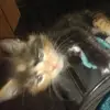 Sharri Johnson - @sharri.johnson2 - TikTok