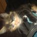 Sharri Johnson - Facebook