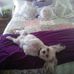 Sharron Willingham - Facebook