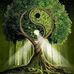 Sharron Armstrong - Facebook