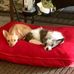 Sharron Bailey - Facebook