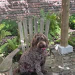 Sharon Barker - @sharon.barker.5621 - Instagram