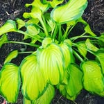 Sharron Barker - @barker.sharron - Instagram