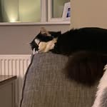 Sharron Barker - @sharron.barker1 - Instagram