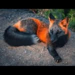 Sharon Barnett - @sharonbarnett27 - Instagram