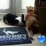 Sharon Barnett - @sharonbarnett24 - Instagram