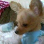 Sharon Barrett - @sharon.barrett.167 - Instagram