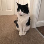 Sharon Barton - @sharon.barton.5205 - Instagram