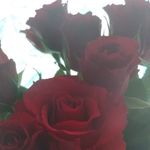 Sharon Bates - @sharonbates712 - Instagram