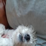 sharon baxter - @sharonbaxter431 - Instagram