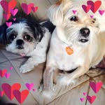 Sharon Baxter McCollum - @skmccollum - Instagram