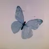 Sharon Berger - @sharonberger3 - TikTok