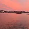 Sharon Berger - @sharonberger2 - TikTok