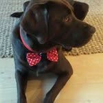 Sharon Berry - @sharon.berry.5496 - Instagram