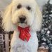 Sharron Berry - Facebook