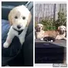 sharronberry876 - @sharronberry876 - TikTok