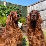 Sharon Bishop - @alolroo - Instagram