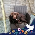 Sharron Blake - @sharronblake3633 - Instagram