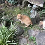 Sharon Blankenship - @sabship - Instagram