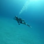 Sharon Blankenship - @sharonblankenship90 - Instagram