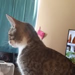 Sharon Blankenship - @sharon.blankenship.790256 - Instagram