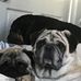 Sharon Brooks - Facebook