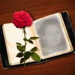 Sharron Collier - @sharroncollier1 - Instagram