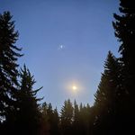 Sharron Collier Carnes - @sharroncolliercarnes - Instagram