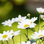 Sharon Combs - @sharon.combs.3762 - Instagram