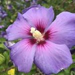 Sharon Goodwin - @sharongoodwin3443 - Instagram