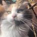 Sharron Griffith - Facebook