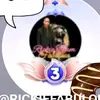 Sharon Hamilton - @sharon.hamilton - TikTok