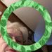 Sharron Hamilton - Facebook