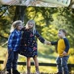 Sharon Holcomb - @holcomb3770 - Instagram