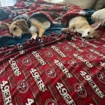 Sharon Kuehn Holcomb - @sharona49er - Instagram