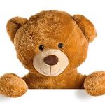 Sharron Holmes - @triptumblebear - Instagram