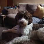 Sharron Holmes - @sharronxx197366 - Instagram