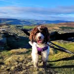 Sharron Holmes - @sharron_holmes13 - Instagram