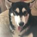Sharon Hunter - Facebook