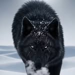 Sharon Joyce - @sharonjoycethecanadiangirl - Instagram