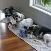 Sharon Joyce - @sharon.joyce - TikTok
